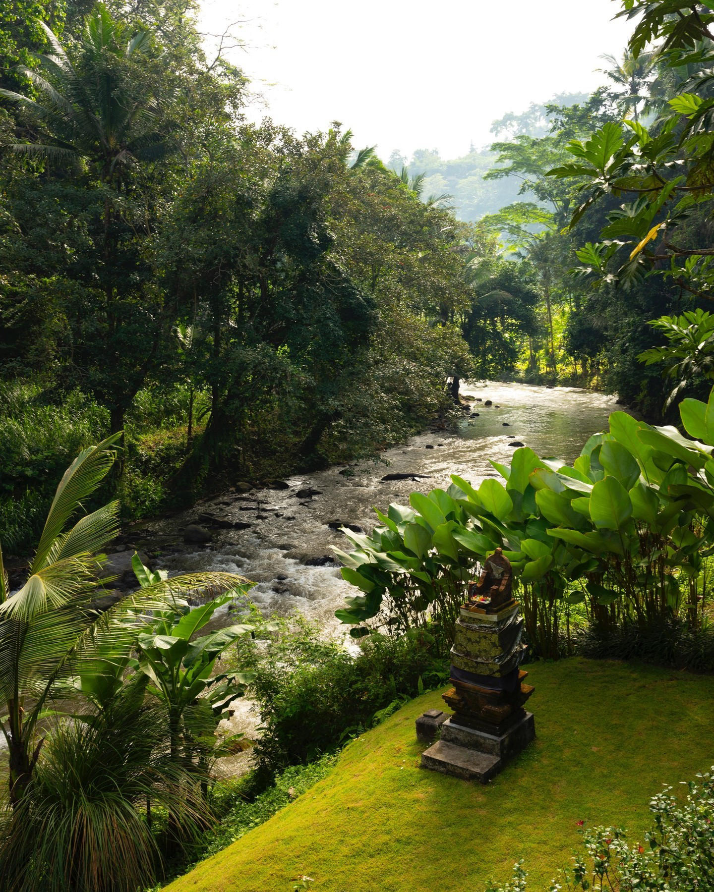 The Ayung River flows through the deepest of greens at #mandapareserve, defining each moment in our
