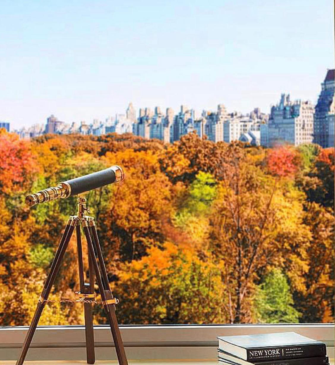 The Ritz-Carlton New York, Central Park - Tis’ the season to fall in love with New York