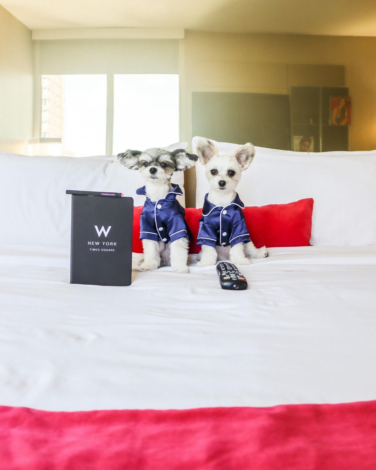 Your pets will thank you for including them on your next trip, especially when we spoil them with cu